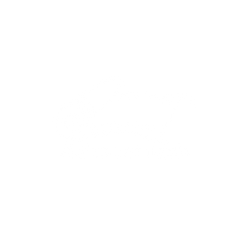 Maison-et-Tapis La première boutique de Tapis